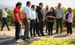 CHP’li Arpacı: TARİŞ algı yapıyor, üretici de tüketici de mutsuz