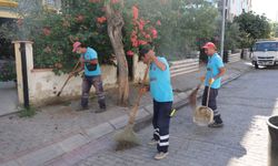 Efeler'in mahallelerinde temizlik seferberliği devam ediyor