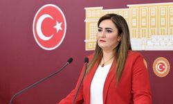 CHP’li Vekilden Fatih Altaylı’ya sert yanıt: “Merkepler adam olur, sen olmazsın!”