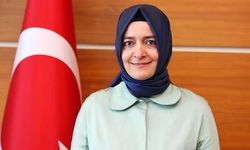 AK Parti Genel Başkan Yardımcısı Kaya'dan açıklama
