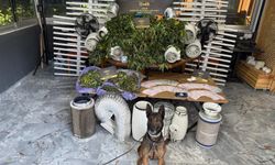 Zehir tacirlerine darbe: 11 operasyon, 11 tutuklama