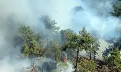 Köyceğiz ormanlar yangını devam ediyor