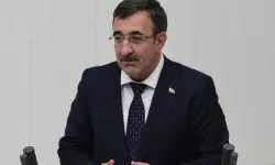 Cevdet Yılmaz'dan enflasyon yorumu: Enflasyon 15 aydır düşüyor