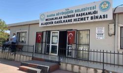 Ağacı kesmeye çalıştı feci şekilde can verdi