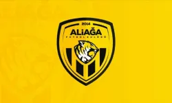 Aliağa FK’nın 1021 Günlük Yenilmezlik Serisi Gebze’de Sona Erdi