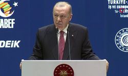Erdoğan: “Kalıcı barış için yoğun çaba içindeyiz”
