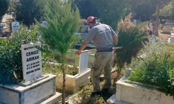 Efeler'in ekipleri mezarlıklarda