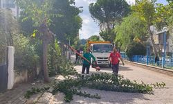 Efeler Belediyesi’nden vatandaşlara önemli uyarı