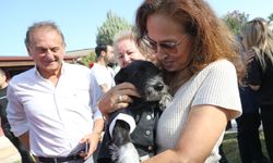 Karşıyaka'da can dostlar için 25 ton mama toplandı
