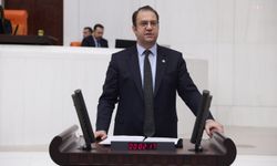 CHP'li Alp'ten Rojin Kabaiş davasına eleştiri