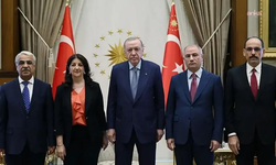Erdoğan ile İmralı Heyeti'nin görüşme tarihi değişti