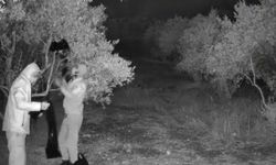Didim’de kaçak kazı operasyonu: 4 kişi yakalandı
