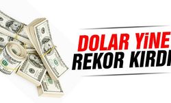 Piyasalarda Dolar baskısı: İki ayın zirvesi
