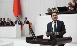 Başevirgen :“Yaşlılar artık huzurevi kuyruklarında”