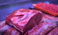 Alman medyası:  "Türkler ayda bir kez et yiyebiliyor..! "