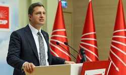 Deniz Yücel'den AKP sözcüsü Çelik'e sert yanıt!