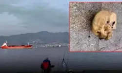 İzmir’de oltaya insan kafası takıldı!