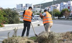 Kuşadası Belediyesi'nden peyzaj düzenlemelerine su tasarrufu