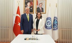 Antikanser sentezlenmesine yönelik Uluslararası Patent