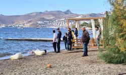 Bodrum açıklarında tekne battı, 7 göçmen hayatını kaybetti