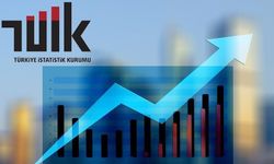 Kadına yaşam boyu şiddet yüzde 13