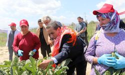Efeler Belediyesi’nden örnek proje