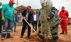 Başkan Yetişkin’den Efeler’e yeşil adım