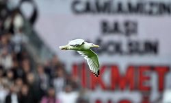 Dolmabahçe’de beklenmedik misafir