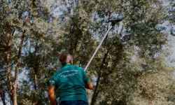 Balçova’da kentin bereketine sahip çıkan çalışma