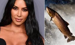 Yeni moda: Balık içerikli bakım ürünleri