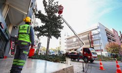 Denizli Büyükşehir Belediyesi'nde budama çalışmaları