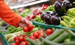 Küresel düşüş Türkiye’ye yansımıyor!