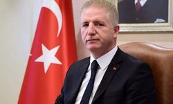 Vali Davut Gül kedileri hedef aldı!