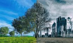 İzmir'in hava kirliliği kritik seviyede