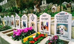 Pet mezarlıklarında cep yakan tarifeler!