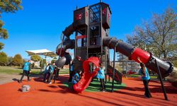 İzmirli gönüllüler el ele vererek doğa için temizlediler