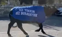 Güzelbahçe’de manda protestosu