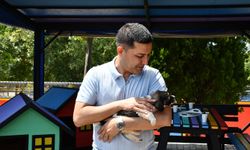 Kuşadası'nda can dostlar emin ellerde