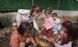 Seferihisar’da 2. Orhanlı Zeytin Hasadı Festivali başladı