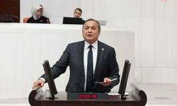 CHP'li Torun'dan Ferrero'ya tepki