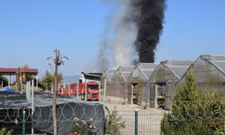 Manisa'da çıkan yangın kontrol altında