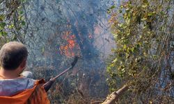 Artvin’de örtü yangını ormana ulaştı