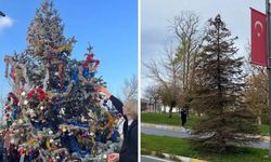 YTÜ’de şok iddia: “Yıldızlı Ağaç” kezzapla kurutuldu