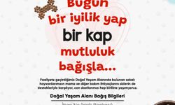 Turgutlu Belediyesinden sahipsiz dostlar için anlamlı kampanya