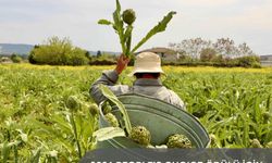 İzmir’in sürdürülebilir turizm hikâyesi “Halkın Seçimi” nde