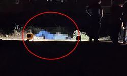 Boş arazide kan donduran manzara!