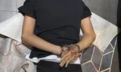 Yeni nesil suç örgütlerine dev operasyon