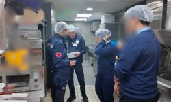 Bodrum’da halk sağlığı için sıkı denetimler sürüyor