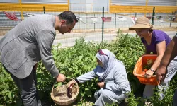 Başkan Eşki'den Bornova'ya 3 yeni bostan müjdesi