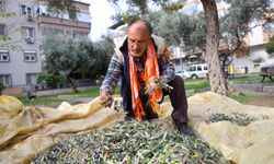 Buca’da dayanışma için hasat zamanı